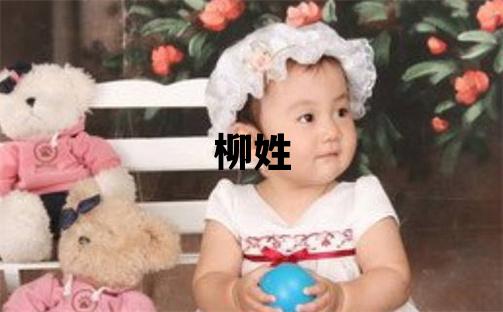 柳姓优美大方的女孩名字