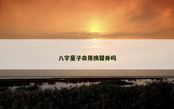 八字童子命用换替身吗