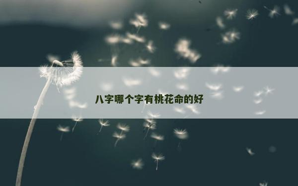 八字哪个字有桃花命的好