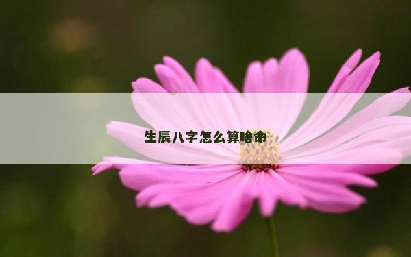 生辰八字怎么算啥命