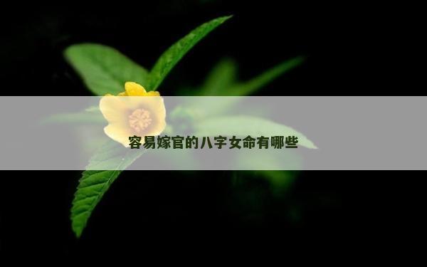 容易嫁官的八字女命有哪些