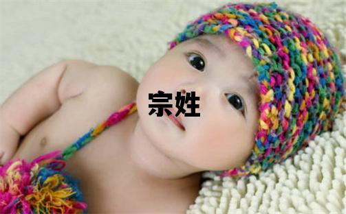 宗姓有气质的女宝宝名字