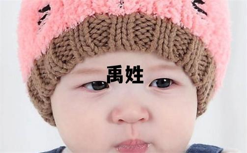 禹姓吉利的男孩名字,取什么名字好