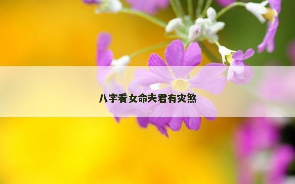 八字看女命夫君有灾煞