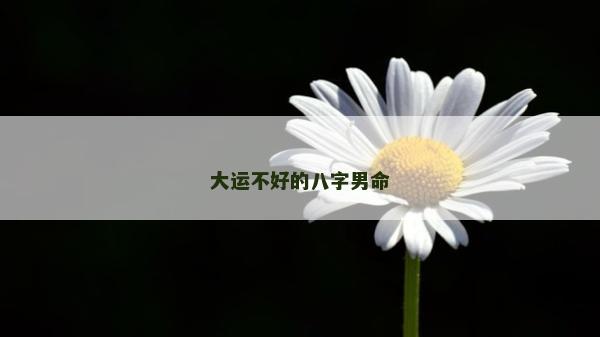 大运不好的八字男命