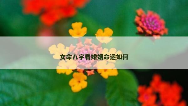 女命八字看婚姻命运如何