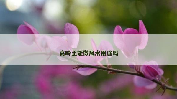 高岭土能做风水用途吗