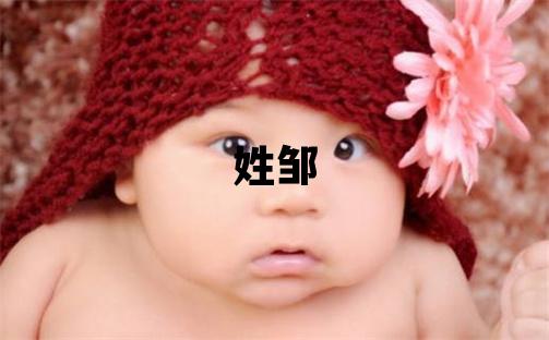 姓邹叫什么名字好 姓邹的男孩洋气的名字