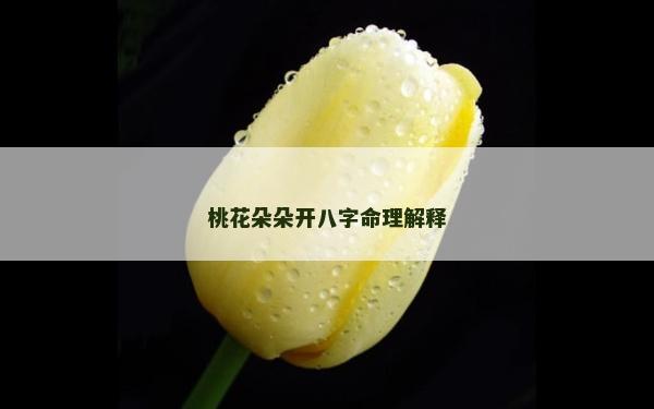 桃花朵朵开八字命理解释