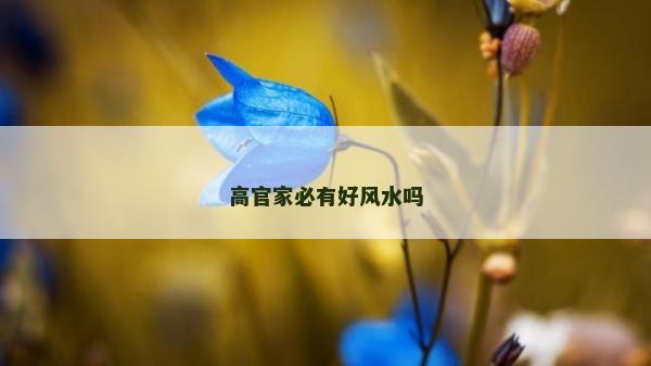 高官家必有好风水吗