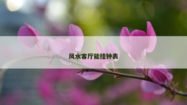 风水客厅能挂钟表
