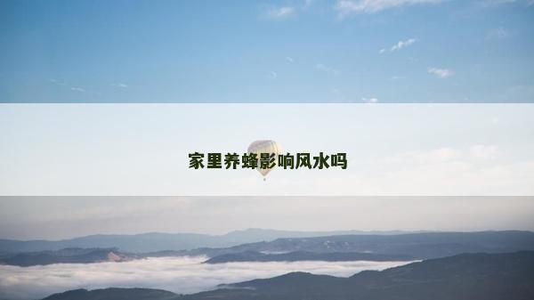 家里养蜂影响风水吗