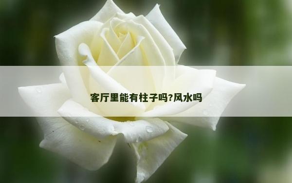 客厅里能有柱子吗?风水吗