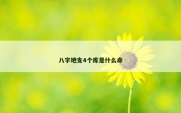 八字地支4个库是什么命