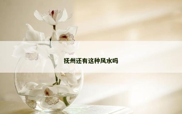 抚州还有这种风水吗