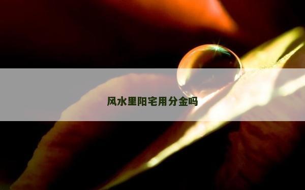 风水里阳宅用分金吗