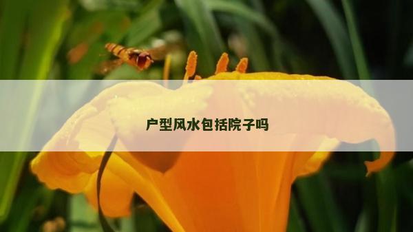 户型风水包括院子吗
