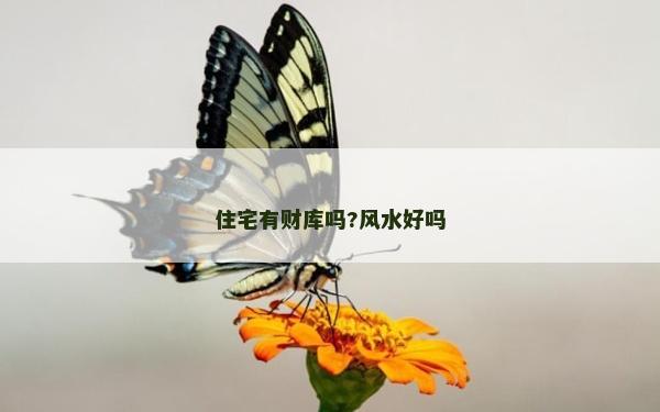 住宅有财库吗?风水好吗