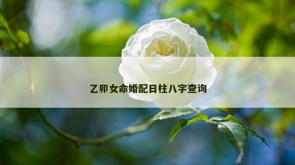乙卯女命婚配日柱八字查询