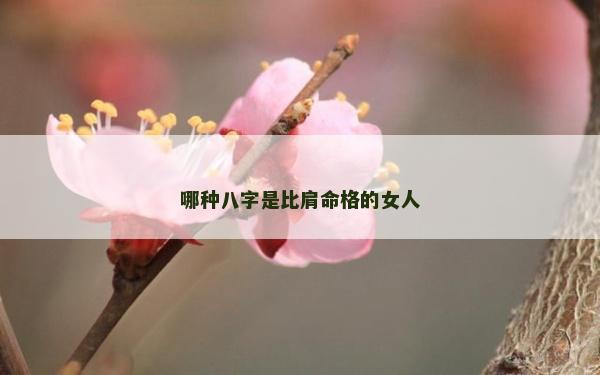 哪种八字是比肩命格的女人