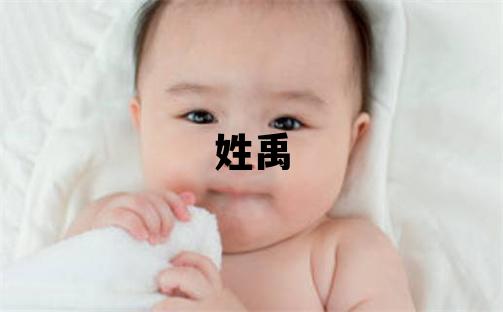 姓禹叫什么名字好 姓禹的女孩有灵气的名字