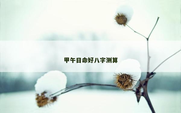 甲午日命好八字测算