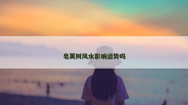 皂荚树风水影响运势吗