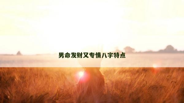 男命发财又专情八字特点