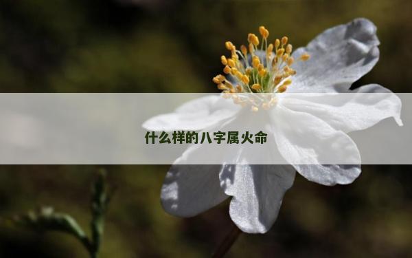 什么样的八字属火命