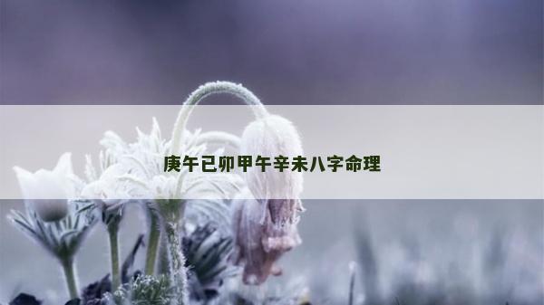 庚午已卯甲午辛未八字命理