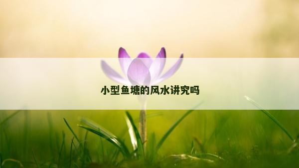 小型鱼塘的风水讲究吗