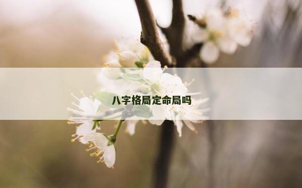 八字格局定命局吗