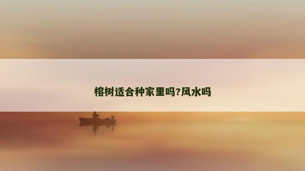 榕树适合种家里吗?风水吗
