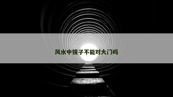 风水中镜子不能对大门吗