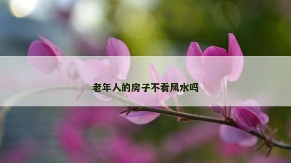 老年人的房子不看风水吗