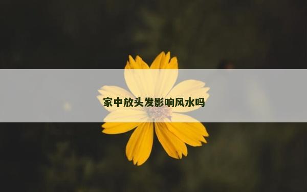 家中放头发影响风水吗