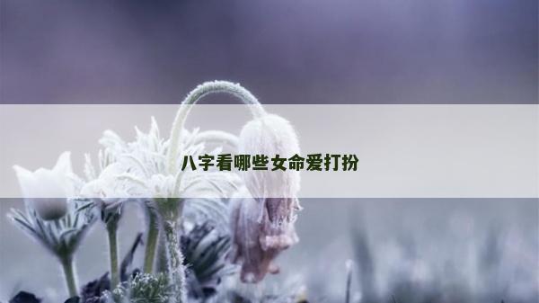 八字看哪些女命爱打扮