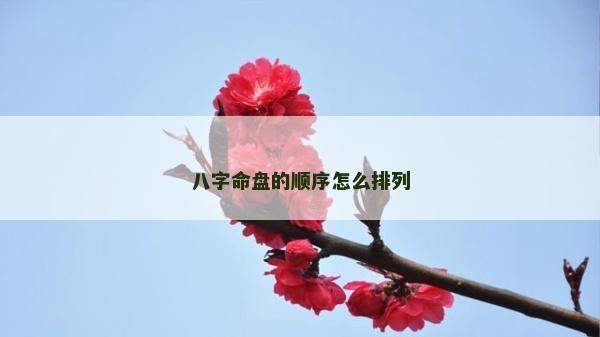 八字命盘的顺序怎么排列