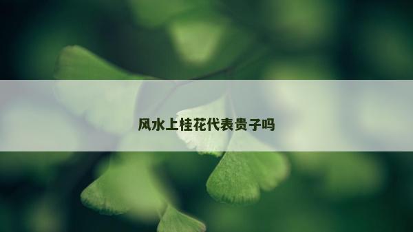 风水上桂花代表贵子吗