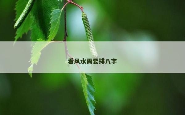 看风水需要排八字