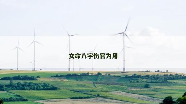 女命八字伤官为用