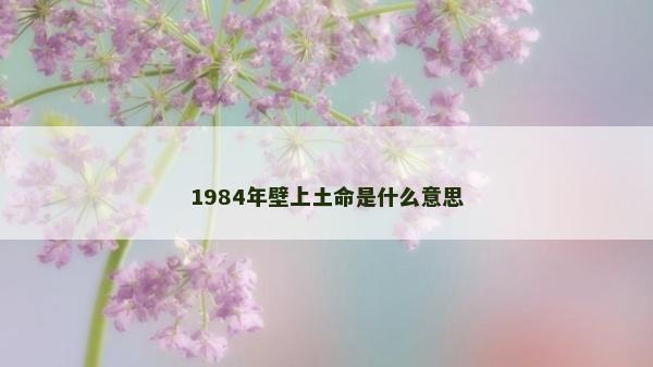 1984年壁上土命是什么意思
