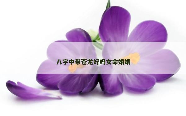 八字中带苍龙好吗女命婚姻