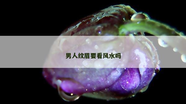 男人纹眉要看风水吗