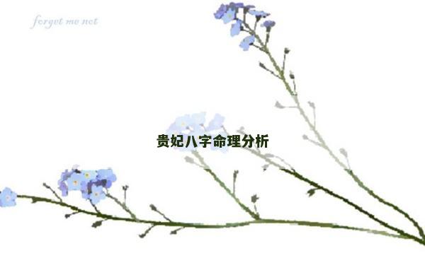 贵妃八字命理分析