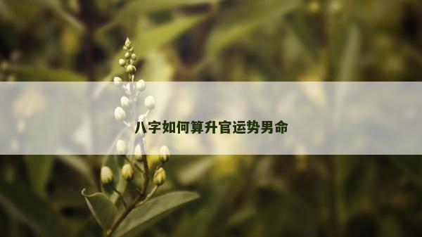 八字如何算升官运势男命