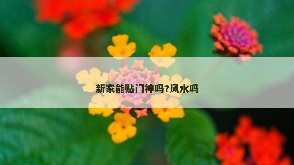 新家能贴门神吗?风水吗