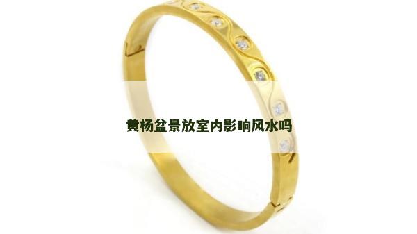 黄杨盆景放室内影响风水吗