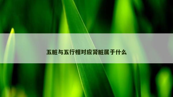 五脏与五行相对应肾脏属于什么