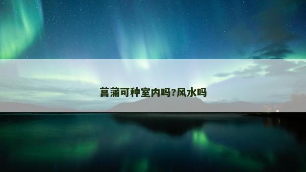 菖蒲可种室内吗?风水吗